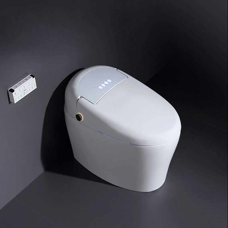 china smart automatic toilet