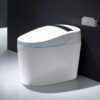 Intelligent Bidet Smart Toilet