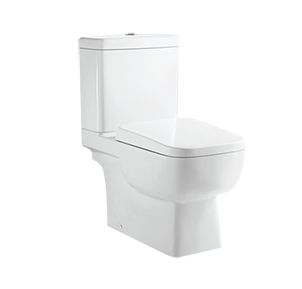 Wholesale Manufacturer Two piece Toilet