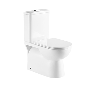 Wholesale Dual Flush Two piece Ceramic toilet
