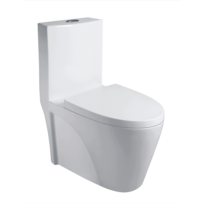 Luxury Modern Bathroom Floor Stand Dual Flush One Piece Toilets