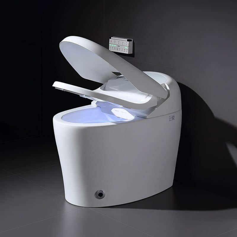 Hidden water tank floor type smart toilet