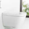 Wall-mounted toilet bidet