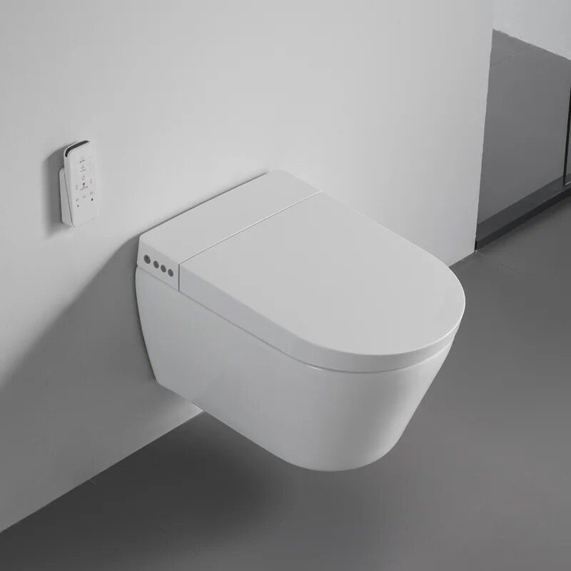 Ceramic wall-mounted toilet