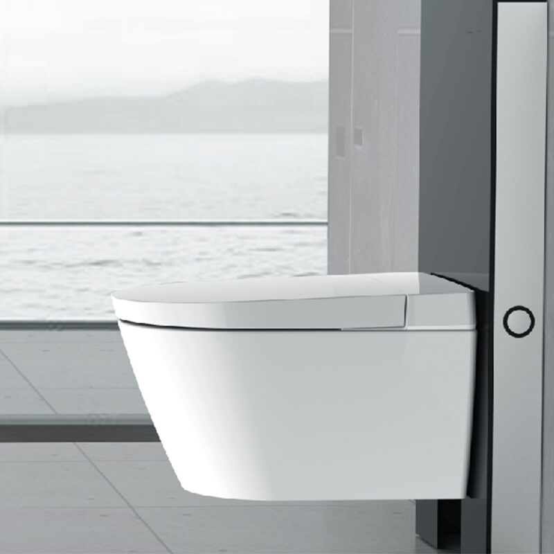 Wall-mounted toilet with bidet function