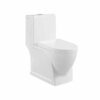 One Piece Comfort Height Toilet Dual flush buttons toilet