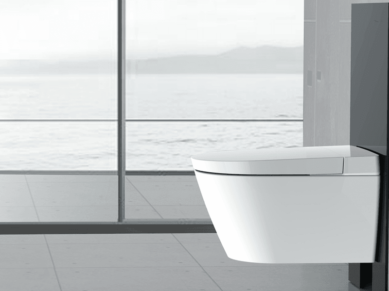 bathroom wall-hung toilet