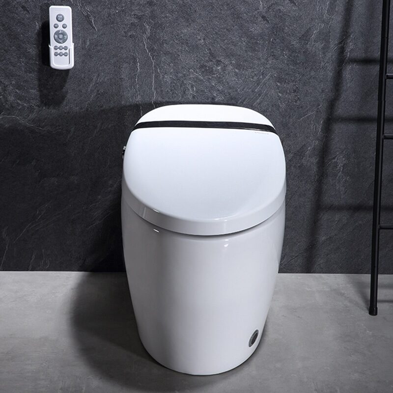 Bathroom Smart Toilet Bowl