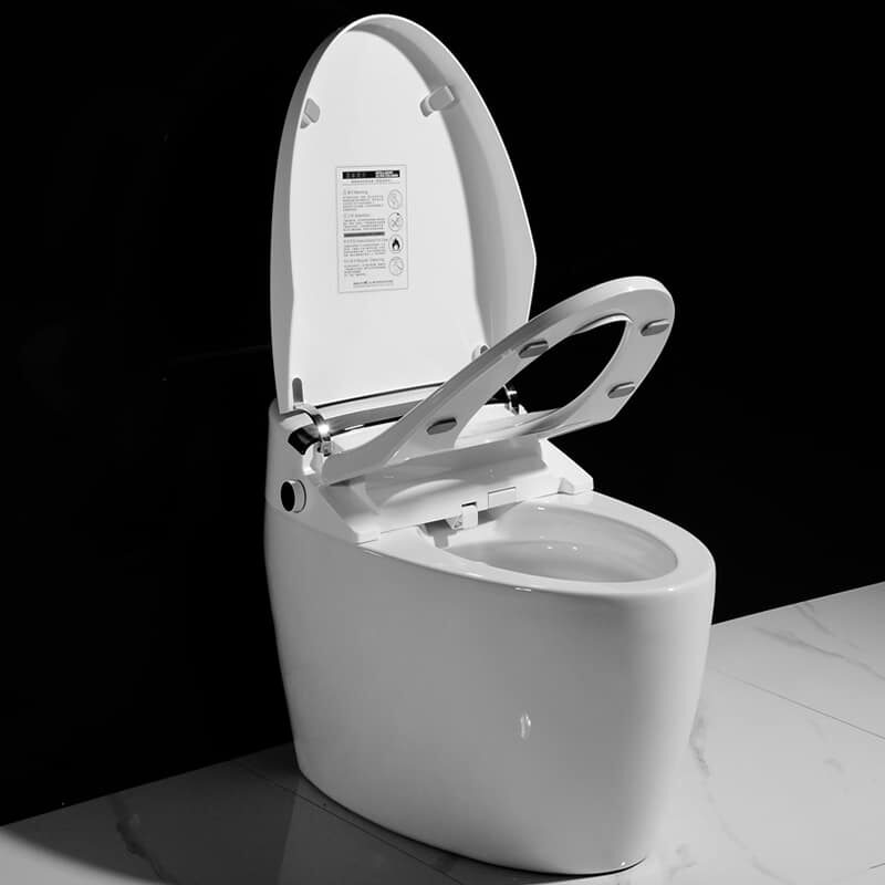 Electric Bidet Toilets Mobile Smart Toilet