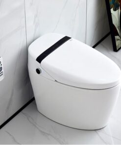 CHINA wholesale intelligent one piece smart toilet