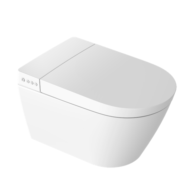 china bidet toilet factory