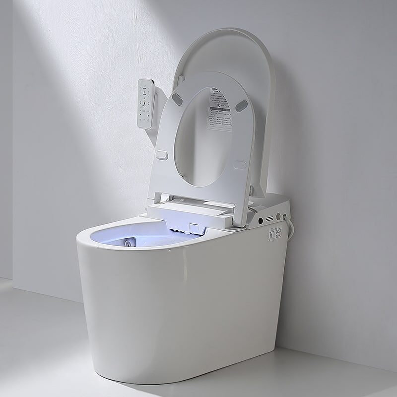 ceramic bowl smart toilet