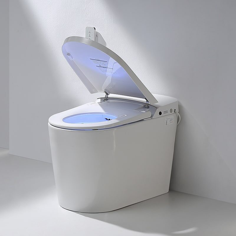 Luxury stylish modern smart toilet