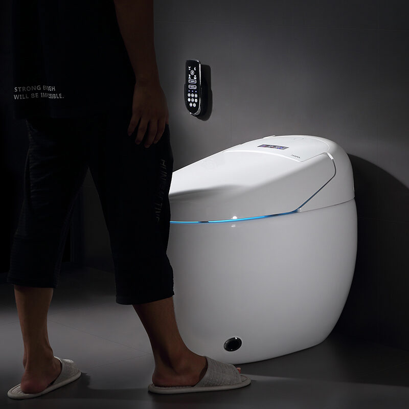 2021 Customized sanitary ware electric automatic flush toilet WC