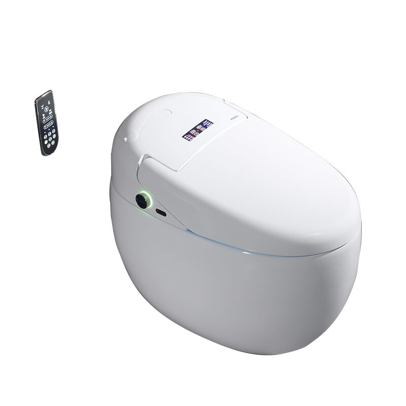 Smart toilet toilet