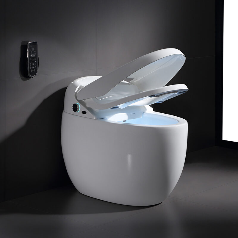 Automatic ceramic smart toilet