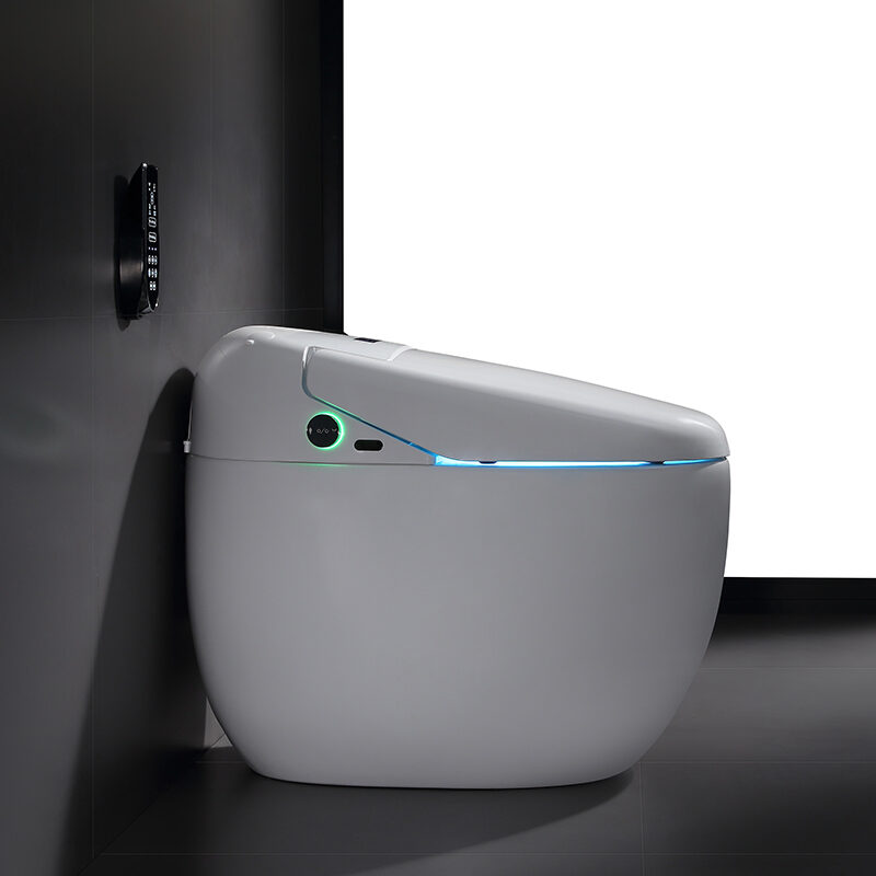 Luxury stylish modern bathroom smart toilet