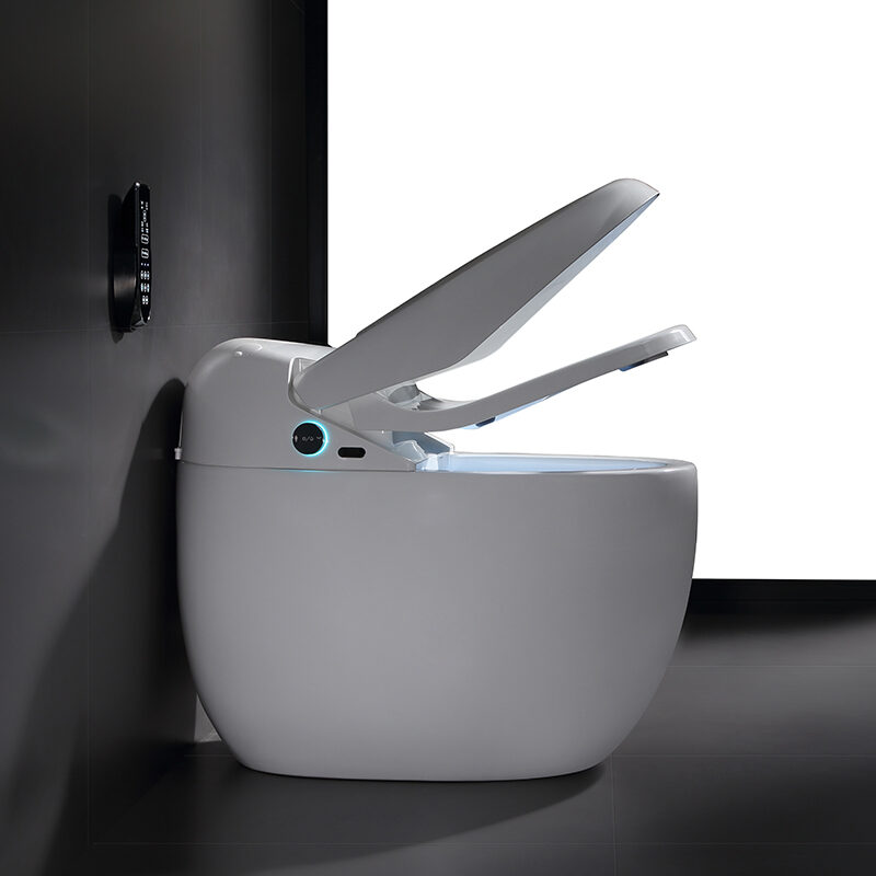 Luxury fashion ceramic smart toilet