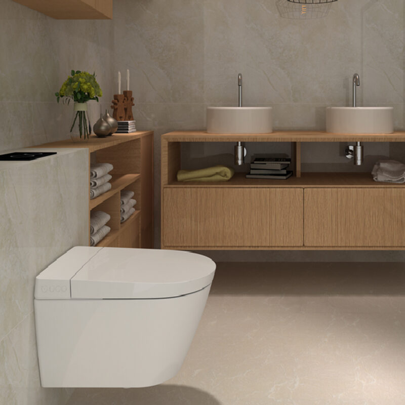 European style bathroom wall mounted toilet toilet