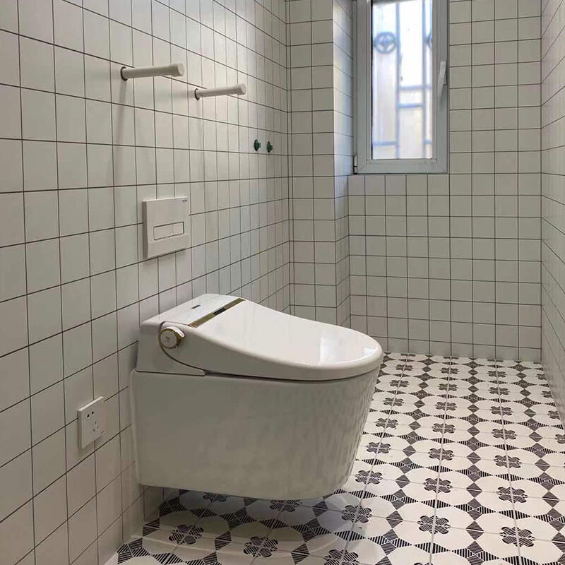 Smart toilet with concealed water tank